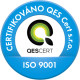 qes_2014_stamp_iso9001_color